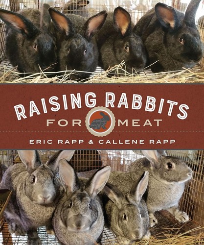 Raising rabbits for meat - raising, a